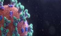 سلول‌ها توسط شاخک‌های ویروس کرونای دلتا سریعتر آلوده می‌شوند