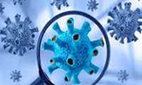 خبر بد درباره گونه جدید ویروس کرونا
