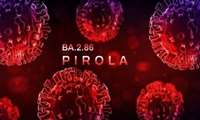 پیرولا؛ نوع جهش یافته‌ای از ویروس کرونا که بار دیگر زنگ خطر را به صدا درآورد