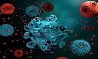 وزیکول‌ها به مقابله با عفونت‌های ویروسی آمدند