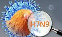 قابلیت پاندمی H7N9