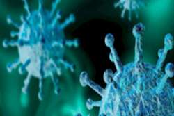 کاهش شدت ابتلا به کرونا با واکنش مناسب سیستم ایمنی بدن