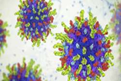 درمان سرطان با کمک یک ویروس شایع